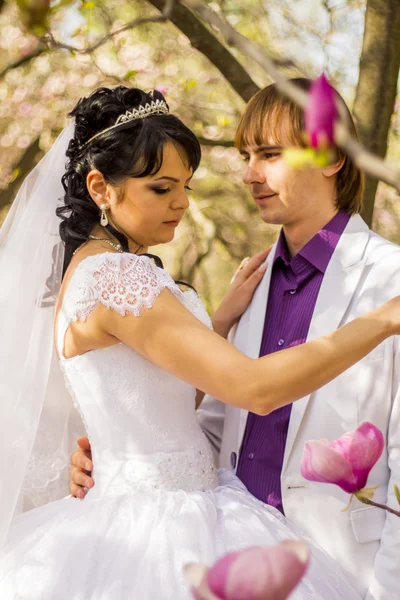 Newlyweds on nature background with blossoming magnolias — Stock Photo, Image