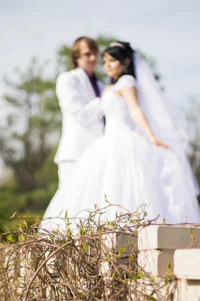 Climbing plants in focus and couple in the background — Stock Photo, Image