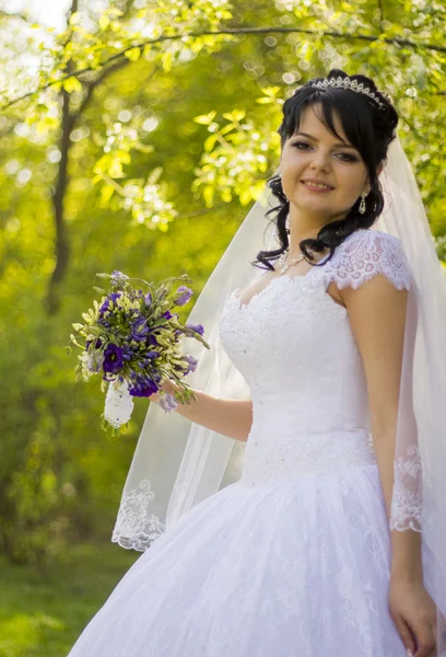 Beautiful bride posing in her wedding day Stock Picture