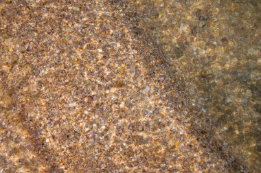 Su altında çakıl taşları, mercanlar ve kum