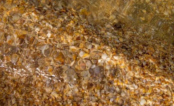Kiezels, koralen en zand onder water — Stockfoto