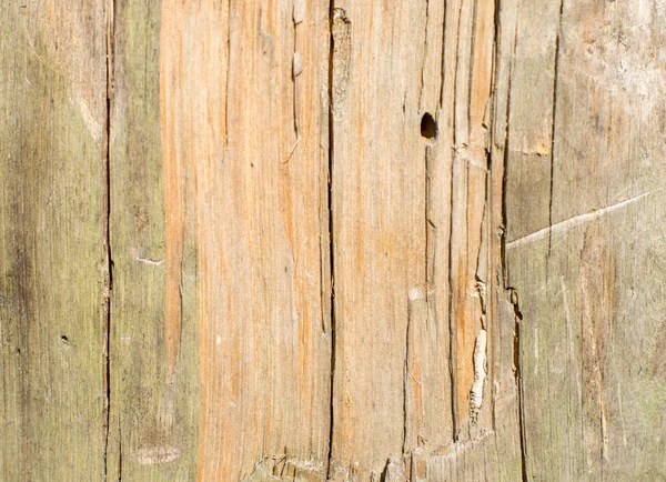 Alte Holz-Textur — Stockfoto