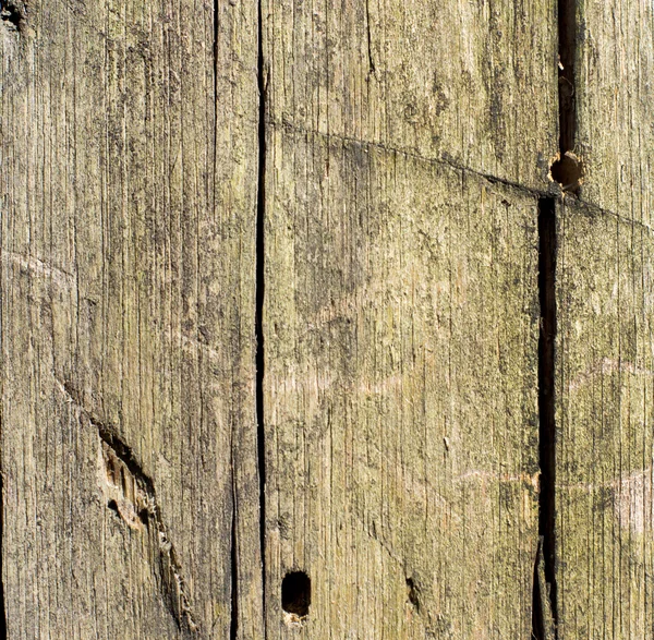 arka plan ağaç kabuğu dokusu