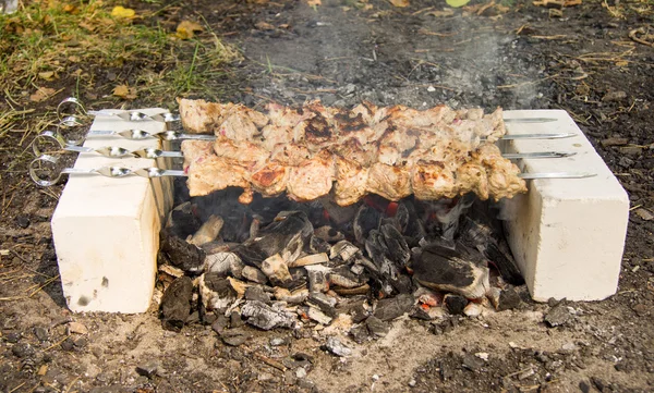 Processo de preparação de um prato de carne shish, de não cozido ao co — Fotografia de Stock