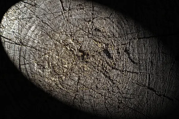 Yakın çekim ahşap kesim dokusu — Stok fotoğraf