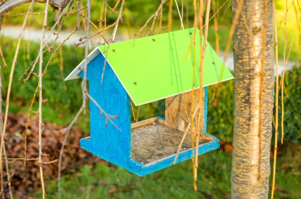 Groene houten vogel nestkast — Stockfoto