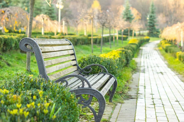 Sonbahar parkında bankta — Stok fotoğraf