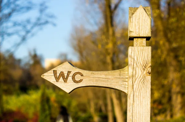 Old wooden arrow indicating the direction in park — Stock Photo, Image