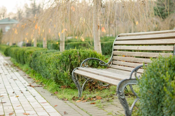 Bänke im Herbstpark — Stockfoto