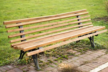 Sonbahar parkında bankta