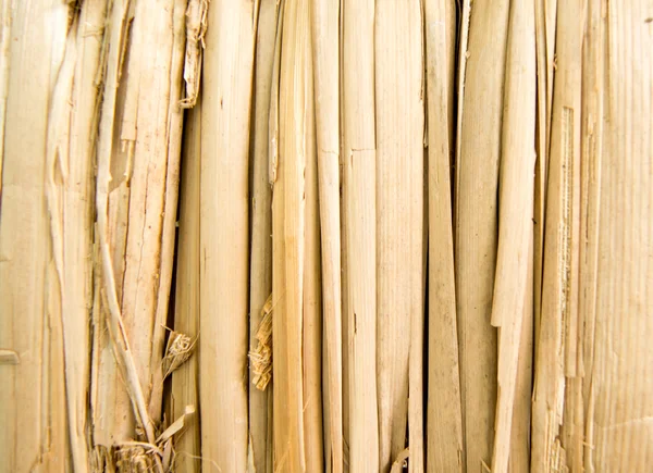 护栏的干燥甘蔗 — 图库照片
