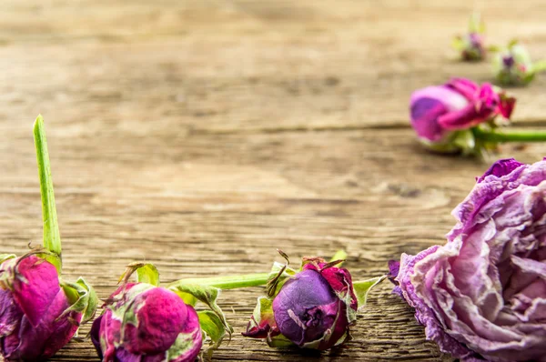 Rosa roja sobre fondo de madera — Foto de Stock