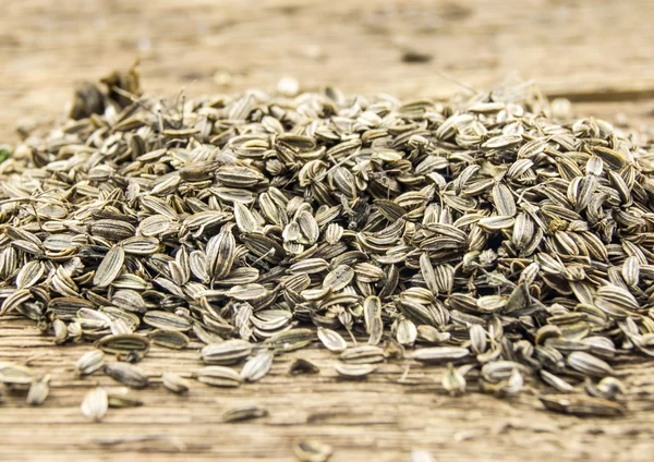 kadife çiçeği tohumu yığını üzerinde bir bahar bahçe bitki hazır