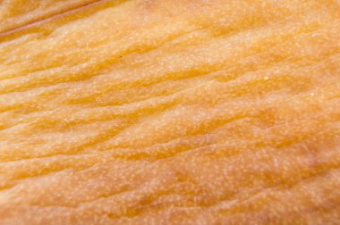 hastalıklı yaprak orkide