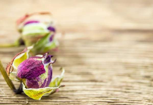 Una rosa seca sobre fondo de madera — Foto de Stock