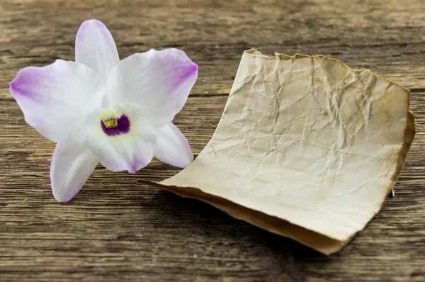 Orchid flower on wooden background with space for inscriptions — Stock Photo, Image