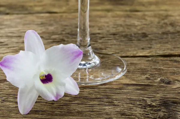 Abarrotes de orquídeas sobre fondo de madera — Foto de Stock