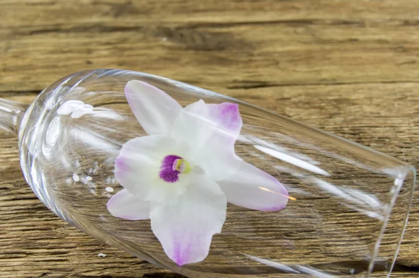 Ahşap zemin üzerinde orkide bakkaliye — Stok fotoğraf