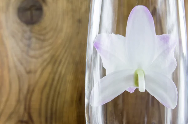 Abarrotes de orquídeas sobre fondo de madera —  Fotos de Stock