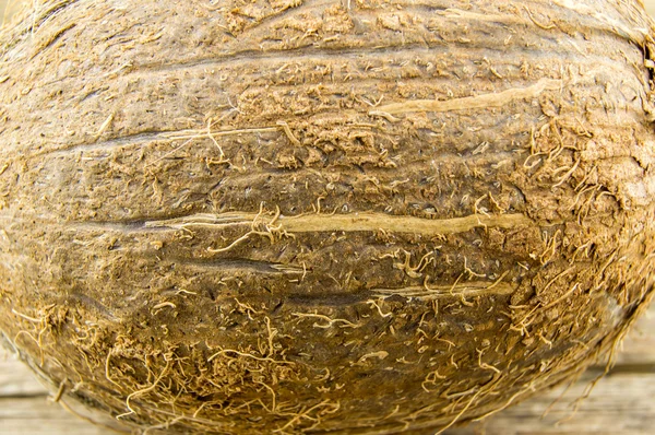 Intero cocco fresco su fondo di legno — Foto Stock