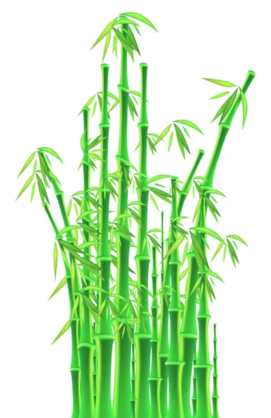 Palos de bambú sobre fondo blanco — Vector de stock