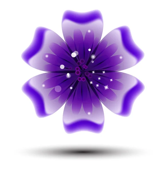 Brochureontwerp, vector abstracte achtergrond met mooie gekleurde bloemenpatroon — Stockvector