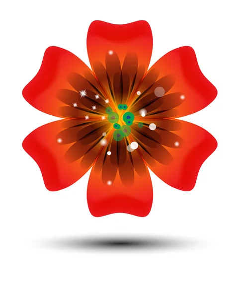 Broşür tasarımı, güzel renkli çiçek desenli arka plan — Stok fotoğraf