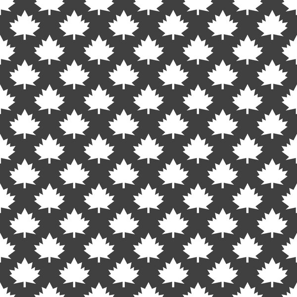 maple Leaf wb icon. flat design. Seamless gray pattern.