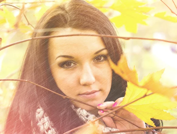 Young pretty woman in autumn park — Stock Photo, Image