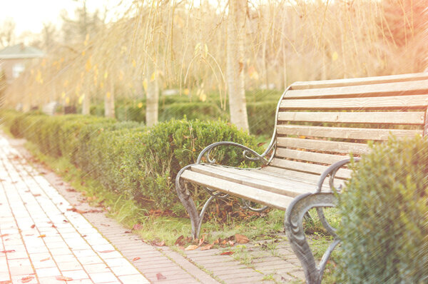 bench in the autumn park