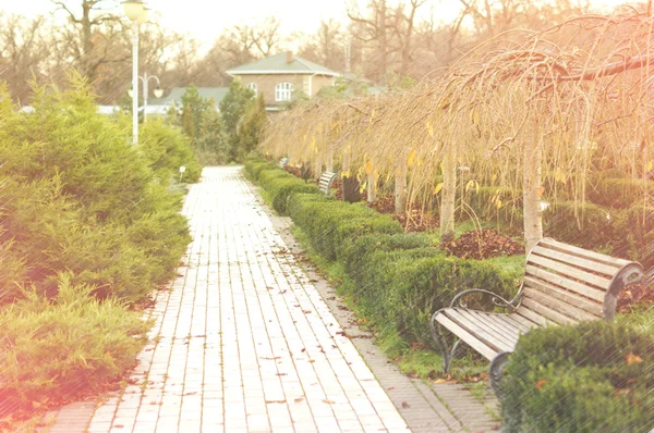 Bench in the autumn park — Stock Photo, Image