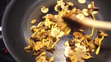 Tavada kızaran yabani mantarlar