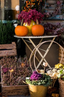 Stockholm, İsveç Balkabakları Sonbaharda bir çiçekçinin masasında.