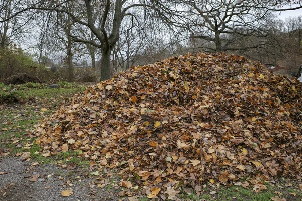 Stockholm Zweden Een Grote Stapel Herfstbladeren Een Park — Stockfoto