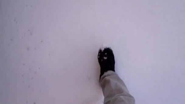 Stockholm Švédsko Muž Kráčí Čerstvém Sněhu — Stock video
