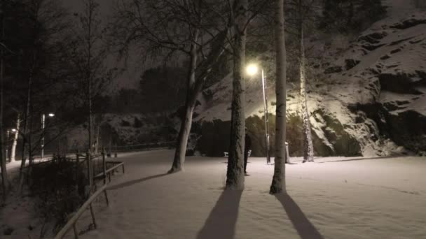 Sztokholm Szwecja Mężczyzna Spaceruje Nocą Ścieżką Spektaklu Parku Vinterviken — Wideo stockowe