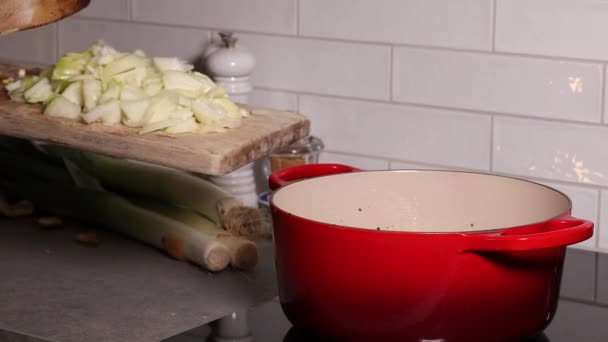 Cocinero Corta Cebollas Para Una Sopa — Vídeo de stock