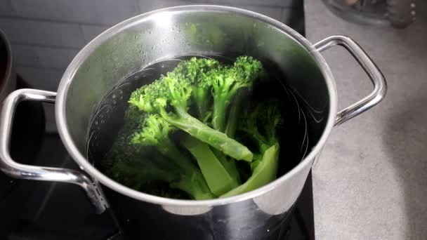 Broccoli Steams Pot Boiling Water — Stock Video