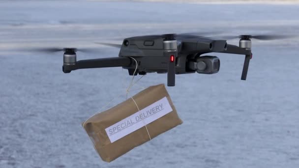 Stoccolma Svezia Drone Vola Con Pacco Che Dice Consegna Speciale — Video Stock