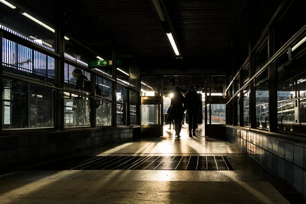 Estocolmo Suecia Personas Que Encuentran Bajo Duro Sol Invierno Gamla —  Fotos de Stock