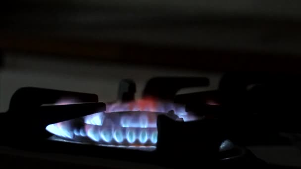 Пламя Газовой Кухонной Плите — стоковое видео