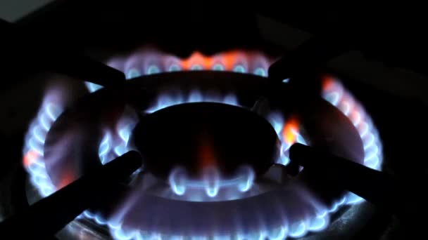 Láng Gázüzemű Konyhai Tűzhelyen — Stock videók
