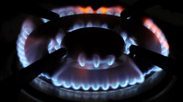 Пламя Газовой Кухонной Плите — стоковое видео