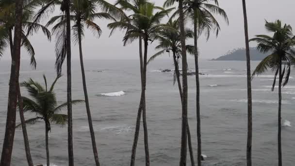 斯里兰卡米利沙海滩大浪滚进海滩和棕榈树 — 图库视频影像