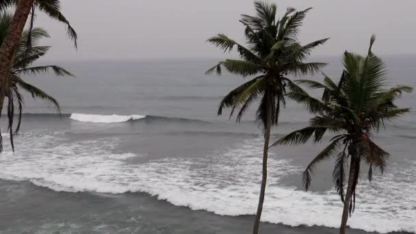 Mirissa Beach Sri Lanka Große Wellen Wälzen Sich Den Strand — Stockvideo