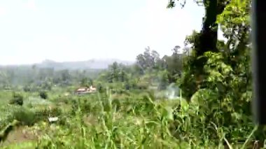 Ella, Sri Lanka Ella 'dan Kandy' ye Sri Lanka 'nın dağlık bölgelerine giden trendeki manzara.. 