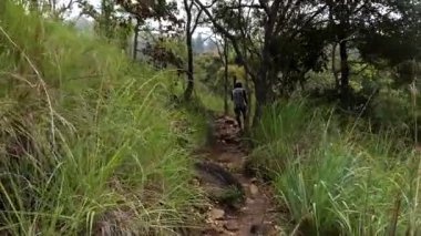 Diyaluma Şelalesi, Sri Lanka Ormanda bir şelale yolunda yürüyor. 