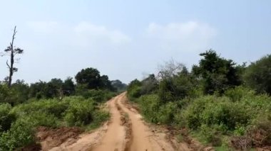 Udawalawa, Sri Lanka, Udawalawe Ulusal Parkı Safari Parkı 'ndaki Filler.