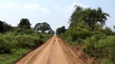 Udawalawa, Sri Lanka, Udawalawe Ulusal Parkı Safari Parkı 'ndaki Filler.