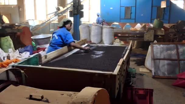 Ella Sri Lanka Lucrător Într Fabrică Ceai Usucă Frunzele Ceai — Videoclip de stoc